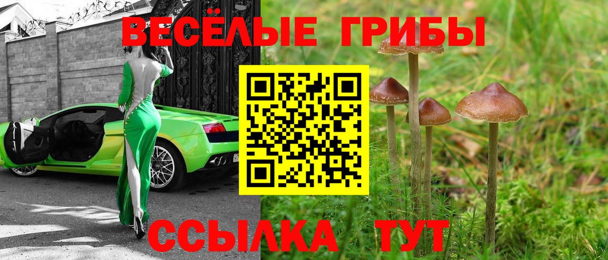 Семилуки  Галлюциногенные грибы Psilocybe  где купить наркотик  Вход с VPN  Псилоцибиновые грибы мицелий 
